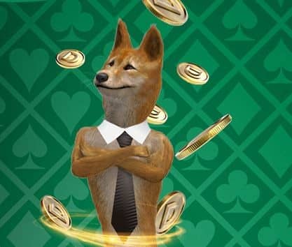 mascotte casino dingo